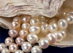 Pearls & Precious Stones Trading Pearls & Precious Stones Trading